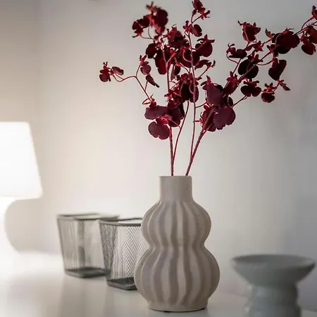 Altstadt Pur Im Herzen Marburgs Apartment *