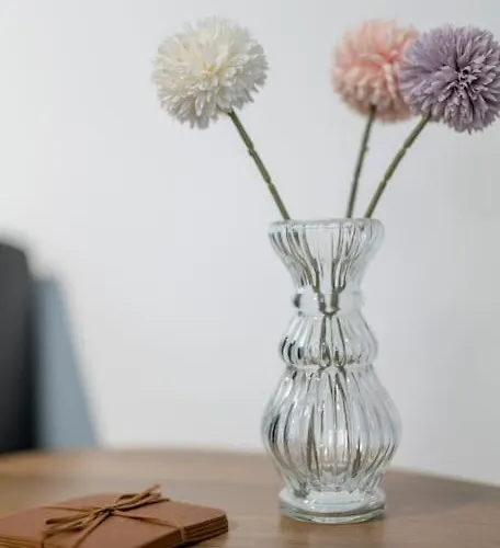 Altstadt Pur Im Herzen Marburgs Marburg